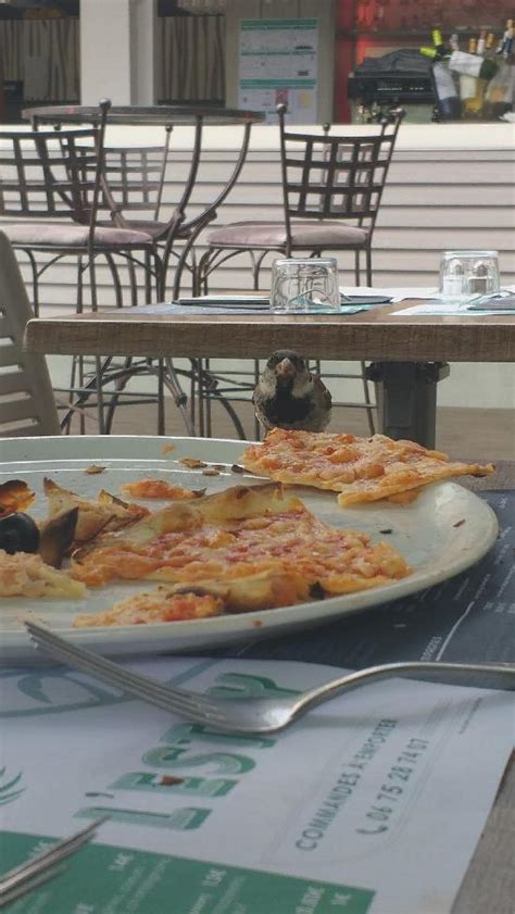 Restaurant l'Estey - Domaine de la forge à La Teste-de-Buch