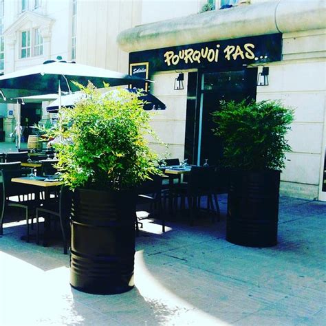 Pourquoi Pas à Montpellier