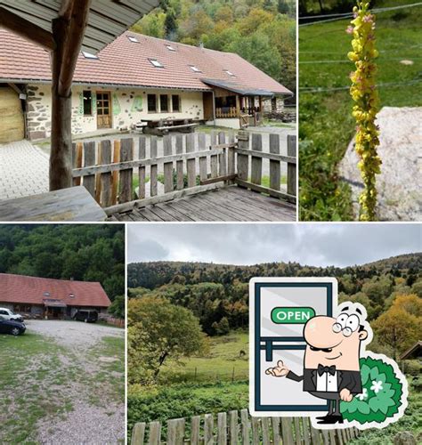 Ferme auberge du Hinteralfeld à Sewen