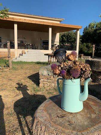 Ferme Auberge l'Aghja à Pietracorbara